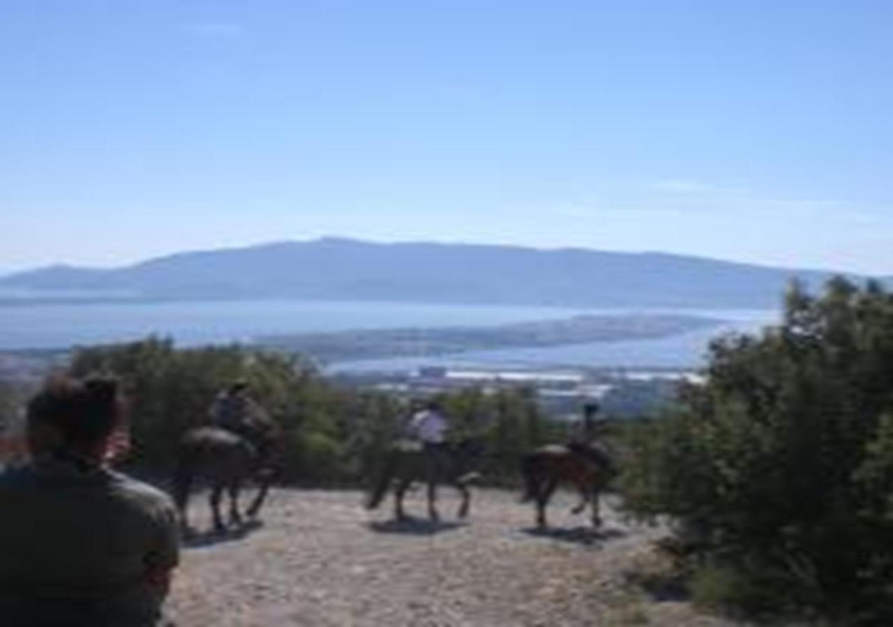 App - Il Fenicottero Con Parcheggio Gratuito Ad Orbetello Villa Exterior photo